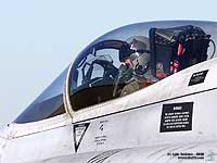 F18 Piloto